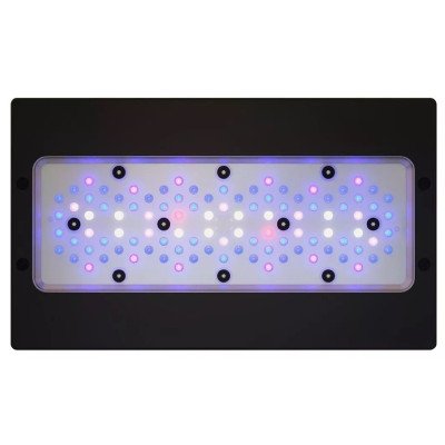 ECOTECH Radion XR30 G6 Blue- Eclairage LED