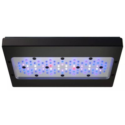 ECOTECH Radion XR30 G6 Blue- Eclairage LED