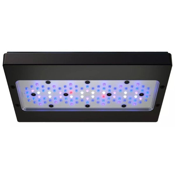 ECOTECH Radion XR30 G6 Blue- Eclairage LED