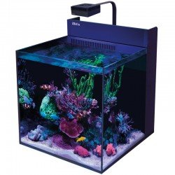 RED SEA MAX G2 XL- Aquarium 127 Liter RED SEA MAX G2 XL- Aquarium 127 Liter