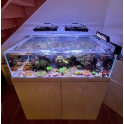 TURTLE SYSTEM Maßgeschneidertes Netz TURTLE SYSTEM Maßgeschneidertes Netz