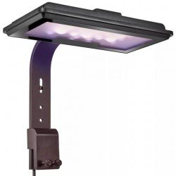 MAXSPECT Jump LED 30 W Refugium MAXSPECT Jump LED 30 W Refugium