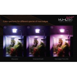 MAXSPECT Jump LED 30 W Refugium – LED-Beleuchtung MAXSPECT Jump LED 30 W Refugium – LED-Beleuchtung
