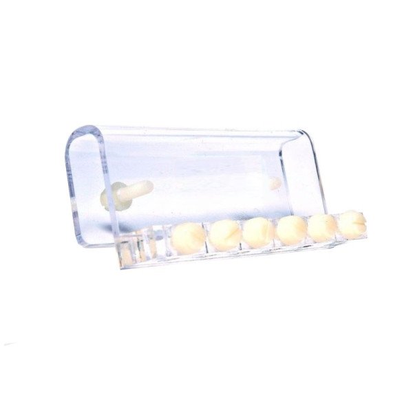 Support 6 tuyaux pour pompe doseuse