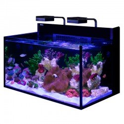 RED SEA MAX Nano G2 XXL- Aquarium 200 Liter RED SEA MAX Nano G2 XXL- Aquarium 200 Liter