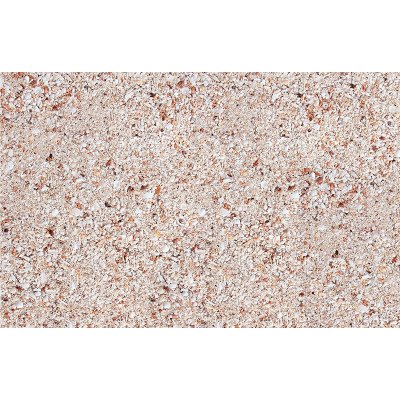 Lebender Sand für Aquarien Lebender Sand für Aquarien