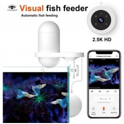Visueller Fischfütterer Visueller Fischfütterer