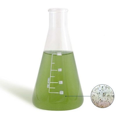 BEA Mesocosmo Micro 1 L- Microfaune pour aquarium marin BEA Mesocosmo Micro 1 L- Microfaune pour aquarium marin