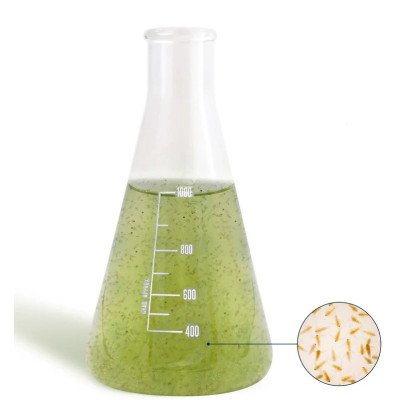 BEA Mesocosmo Macro 1 L- Nourriture vivante BEA Mesocosmo Macro 1 L- Nourriture vivante