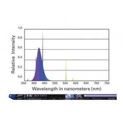 ATI Actinic 24 Watt 25000K° - Röhre T5 550mm ATI Actinic 24 Watt 25000K° - Röhre T5 550mm