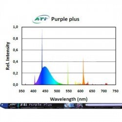ATI Purple Plus 24 Watt - Röhre T5 550mm ATI Purple Plus 24 Watt - Röhre T5 550mm