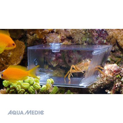 AQUA MEDIC Trap-Pest- Piège à indésirables AQUA MEDIC Trap-Pest- Piège à indésirables