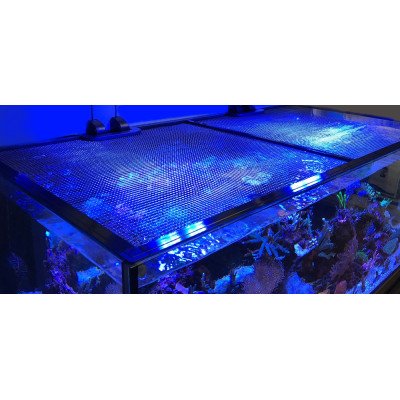 D-D JumpGuard Aquarium Cover 75 x 75 cm- Filet de protection D-D JumpGuard Aquarium Cover 75 x 75 cm- Filet de protection