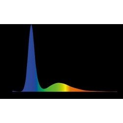 GNC Pixi Marine - LED-Beleuchtung GNC Pixi Marine - LED-Beleuchtung