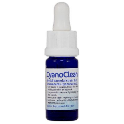 KORALLEN-ZUCHT Cyano Clean 10 ml- Traitement Anti Cyanobactéries KORALLEN-ZUCHT Cyano Clean 10 ml- Traitement Anti Cyanobactéries