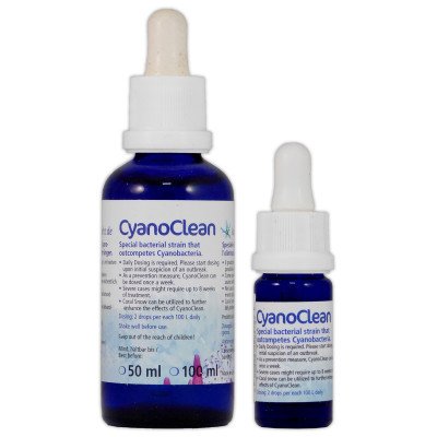 KORALLEN-ZUCHT Cyano Clean 50 ml- Traitement Anti Cyanobactéries KORALLEN-ZUCHT Cyano Clean 50 ml- Traitement Anti Cyanobactéries