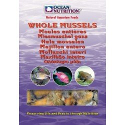 OCEAN NUTRITION Ganze Muscheln - 100 gr OCEAN NUTRITION Ganze Muscheln - 100 gr