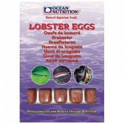 OCEAN NUTRITION Hummer-Ei-Würfel - 100 gr OCEAN NUTRITION Hummer-Ei-Würfel - 100 gr