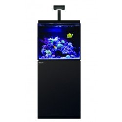 RED SEA MAX E-170- Noir RED SEA MAX E-170- Noir