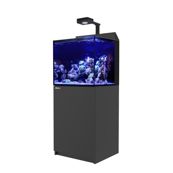 RED SEA MAX E-170- Schwarz