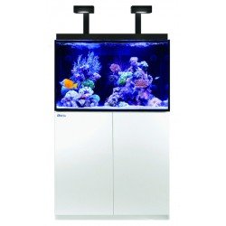 RED SEA MAX E-260- Blanc RED SEA MAX E-260- Blanc
