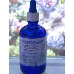 KORALLEN-ZUCHT Stylo-Pocci Glow 50 ml – Korallenergänzung KORALLEN-ZUCHT Stylo-Pocci Glow 50 ml – Korallenergänzung