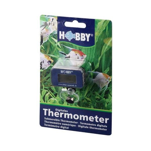 HOBBY Thermomètre Numérique