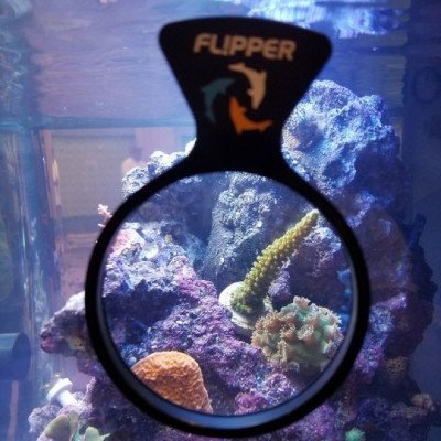 FLIPPER DeepSee Nano- Loupe pour aquarium FLIPPER DeepSee Nano- Loupe pour aquarium