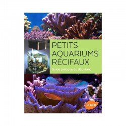 Clownfische im Aquarium – Pflege- und Fortpflanzungsanleitung Clownfische im Aquarium – Pflege- und Fortpflanzungsanleitung