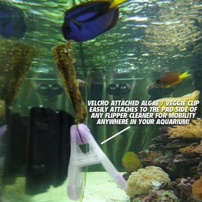 FLIPPER Feeding Kit- Kit pour aiment Flipper FLIPPER Feeding Kit- Kit pour aiment Flipper