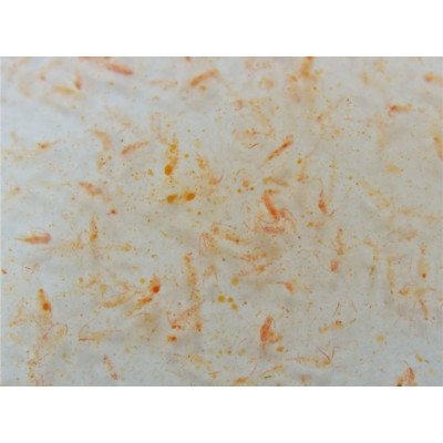 FAUNA MARIN Ocean Plankton 250 ml-Nourriture pour poissons et coraux FAUNA MARIN Ocean Plankton 250 ml-Nourriture pour poissons et coraux