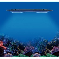 KESSIL LED AP9X - Rampe LED 185 W KESSIL LED AP9X - Rampe LED 185 W
