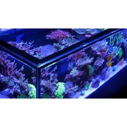 RED SEA REEFER-S 850 G2 - Weiß RED SEA REEFER-S 850 G2 - Weiß
