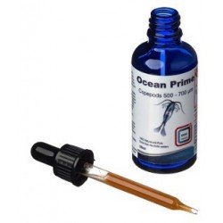 DVH Ocean Prime Copepods Liquid 500–700 Mikron – Fisch- und Korallenfutter DVH Ocean Prime Copepods Liquid 500–700 Mikron – Fisch- und Korallenfutter