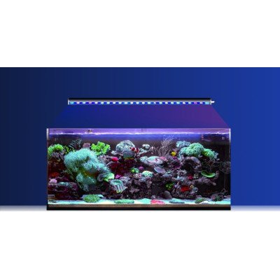 Reef Factory Reef Flare BAR 60- Barre LED connectée 60 cm Reef Factory Reef Flare BAR 60- Barre LED connectée 60 cm