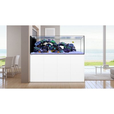 WATERBOX Peninsula 4820 Blanc- Aquarium 301 L