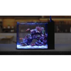 WATERBOX Peninsula Mini Mini 15- Aquarium 57 L WATERBOX Peninsula Mini Mini 15- Aquarium 57 L