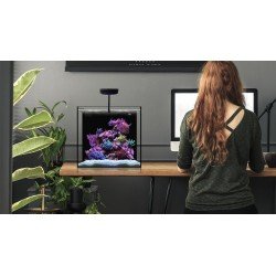WATERBOX Cube 20- Aquarium 76 L WATERBOX Cube 20- Aquarium 76 L