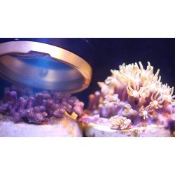 ITC Reef Delete – Anti-unerwünscht ITC Reef Delete – Anti-unerwünscht