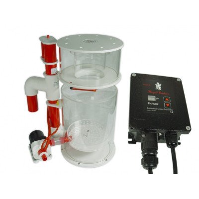 ROYAL EXCLUSIV Bubble King DeLuxe 300 avec RD3 Speedy 60 W- Ecumeur ROYAL EXCLUSIV Bubble King DeLuxe 300 avec RD3 Speedy 60 W- Ecumeur