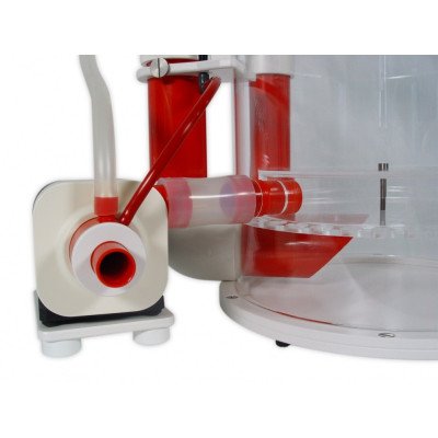 ROYAL EXCLUSIV Bubble King DeLuxe 300 avec RD3 Speedy 60 W- Ecumeur ROYAL EXCLUSIV Bubble King DeLuxe 300 avec RD3 Speedy 60 W- Ecumeur