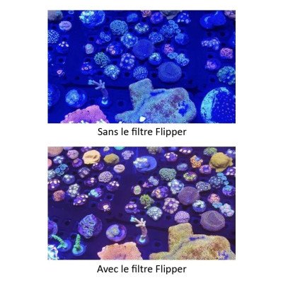 FLIPPER Flip-Kick - Filtre photo pour smartphone et tablette FLIPPER Flip-Kick - Filtre photo pour smartphone et tablette