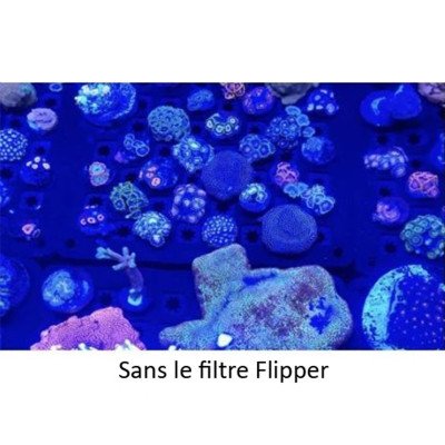 FLIPPER Flip-Kick - Filtre photo pour smartphone et tablette FLIPPER Flip-Kick - Filtre photo pour smartphone et tablette