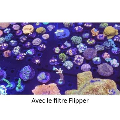 FLIPPER Flip-Kick - Filtre photo pour smartphone et tablette FLIPPER Flip-Kick - Filtre photo pour smartphone et tablette