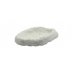 MUSCHELHALTER MUSCHELHALTER