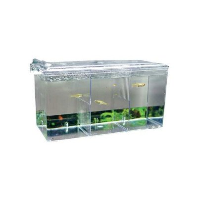 HOBBY Nido 5- Pondoir / Bac d'acclimatation HOBBY Nido 5- Pondoir / Bac d'acclimatation
