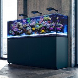 RED SEA REEFER Deluxe XXL 625 G2- Noir RED SEA REEFER Deluxe XXL 625 G2- Noir