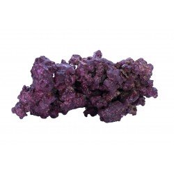 Real Reef Rock Mix in KG – Umweltfreundliche Steine für Aquarien Real Reef Rock Mix in KG – Umweltfreundliche Steine für Aquarien