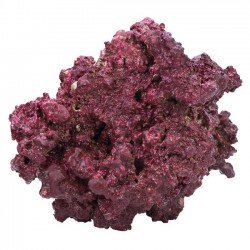 Real Reef Rock Mix in KG – Umweltfreundliche Steine für Aquarien Real Reef Rock Mix in KG – Umweltfreundliche Steine für Aquarien
