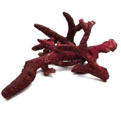 Real Reef Rock Branch Box 15/18 Kg- Pierres éco-responsables pour aquarium Real Reef Rock Branch Box 15/18 Kg- Pierres éco-responsables pour aquarium